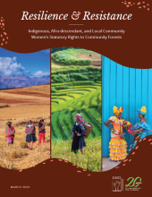 Indigenous, Afro-descendant, and Local Community Women's Statutory Rights to Community Forests