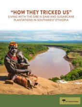 “HOW THEY TRICKED US” LIVING WITH THE GIBE III DAM AND SUGARCANE PLANTATIONS IN SOUTHWEST ETHIOPIA