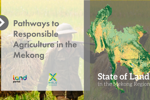 Pathways to Responsible Agriculture in the Mekong