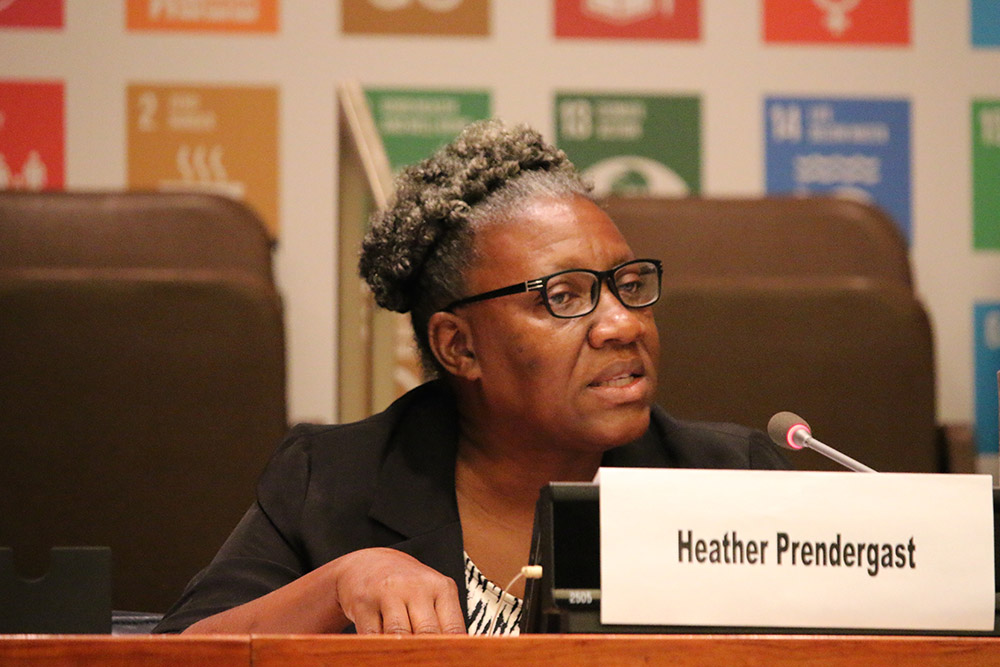 Heather Prendergast of the Statistical Institute of Jamaica represented NSOs on the panel of the UN HLPF Side Event on Monitoring Tenure Security in the SDGs