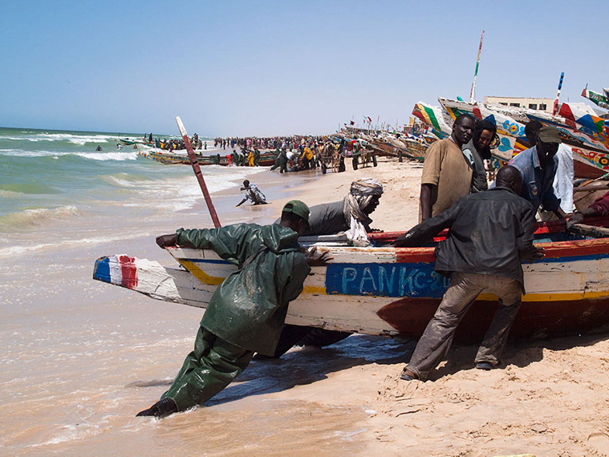  Fish market in Nouakchot , photo by Evgeni Zotov, 2011, Attribution-NonCommercial-NoDerivs 2.0 Generic (CC BY-NC-ND 2) license